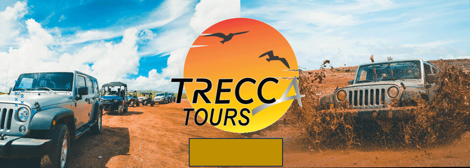 Trecca Tours